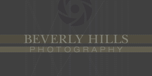 3_alphagraph_beverly_hills_photography_logo_design_harut_art_genjoyan_3